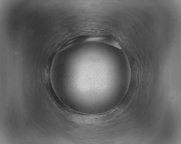 X0000075810040200609151158