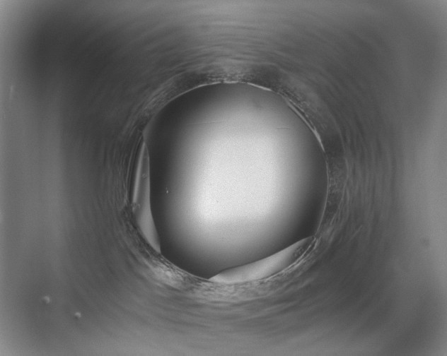 X0000075810045200609151158