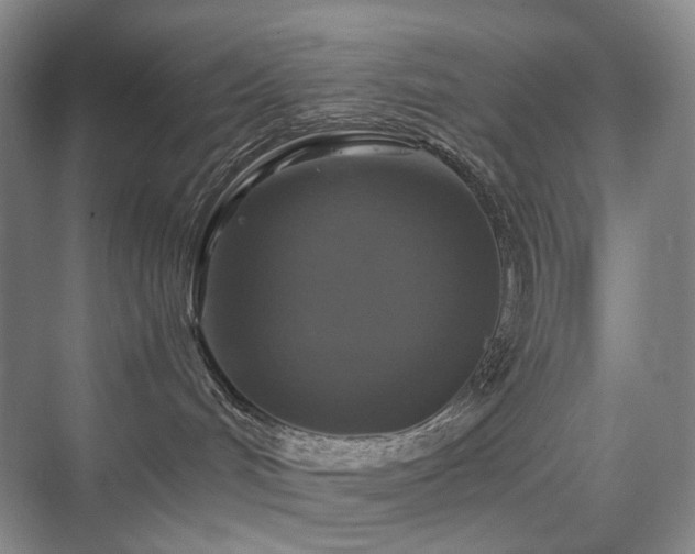 X0000075810048200609151158