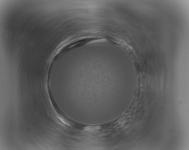 X0000075810051200609151157