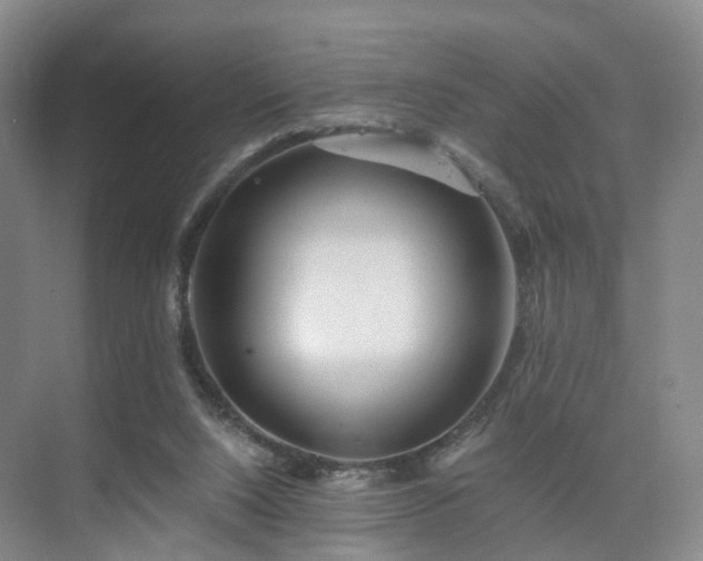 X0000075810064200609151157