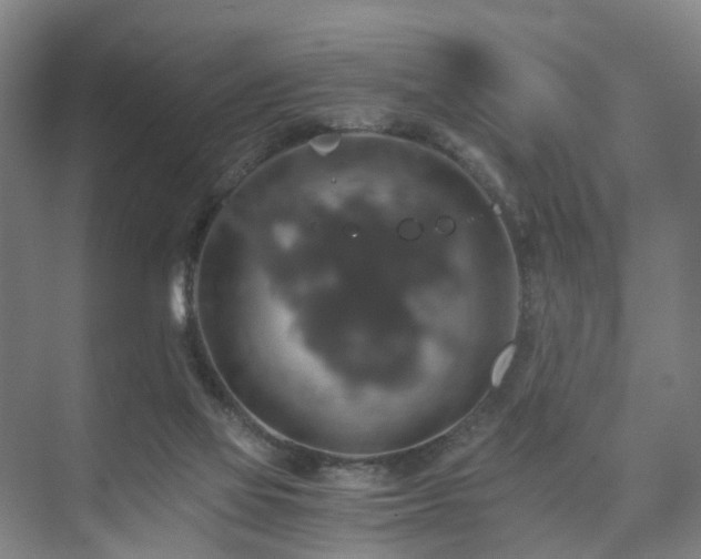 X0000075810069200609151157