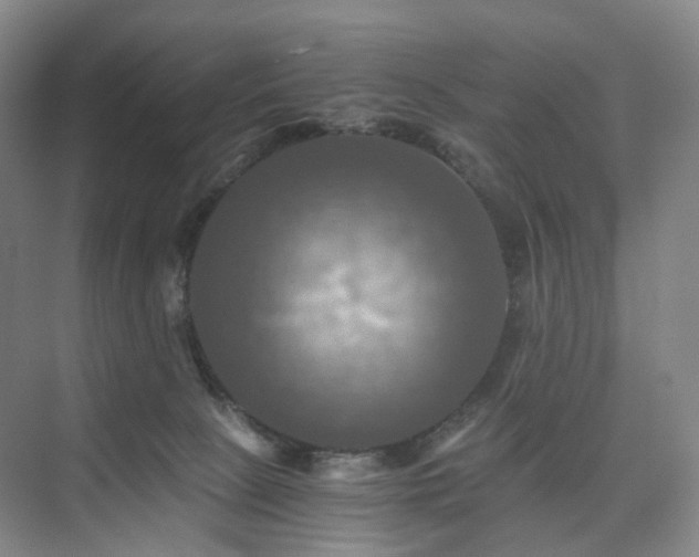X0000075810081200609151157
