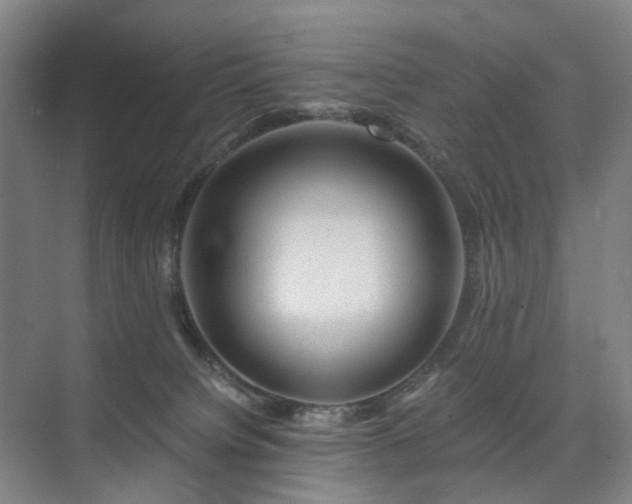 X0000075810084200609151157