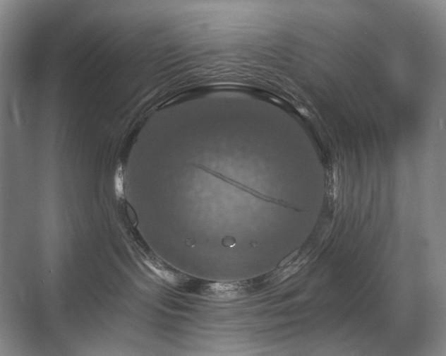 X0000075810095200609151158