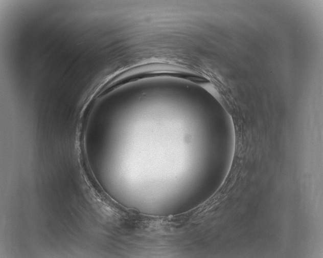 X0000075810098200609151157
