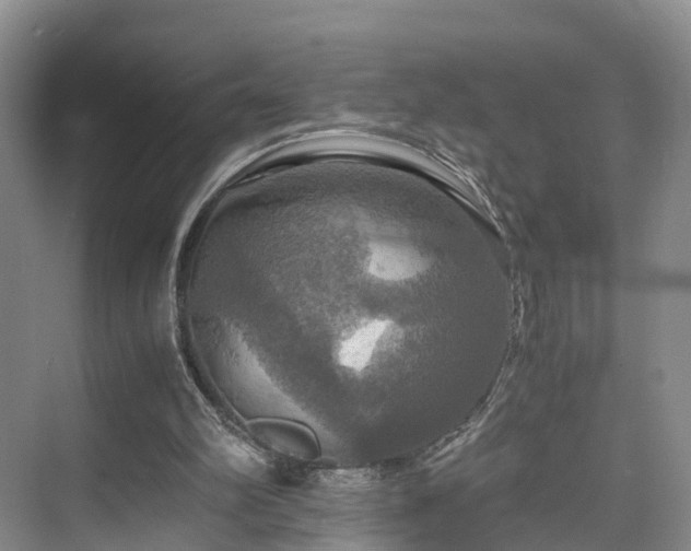 X0000075810102200609151157