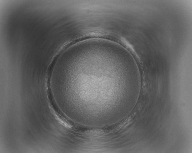 X0000075810106200609151157