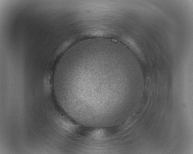 X0000075810116200609151156