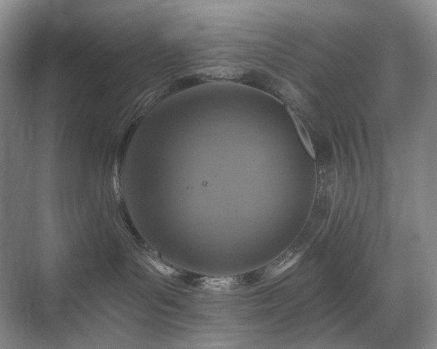 X0000075810143200609151156