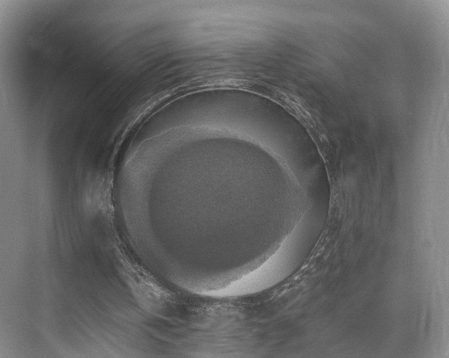 X0000075810146200609151155