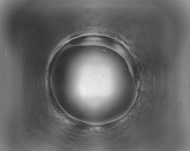 X0000075810152200609151155