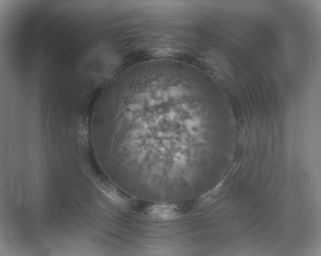 X0000075810179200609151156