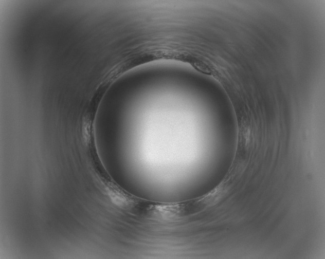 X0000075810188200609151156