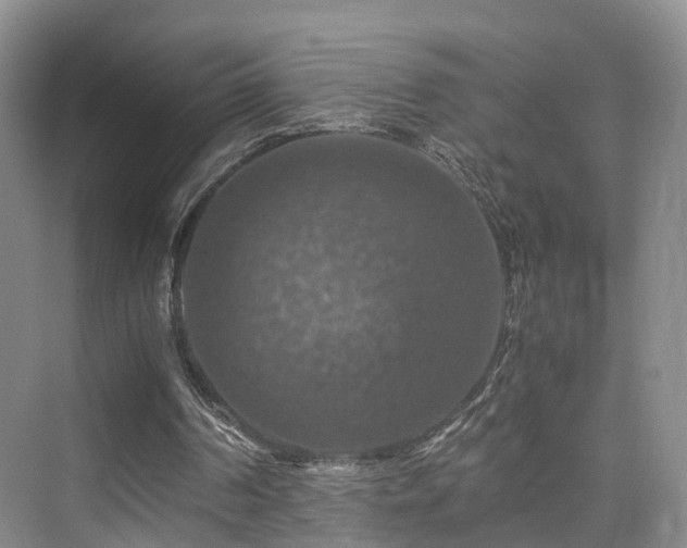 X0000075810194200609151155