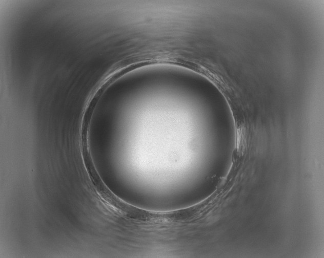 X0000075810195200609151155