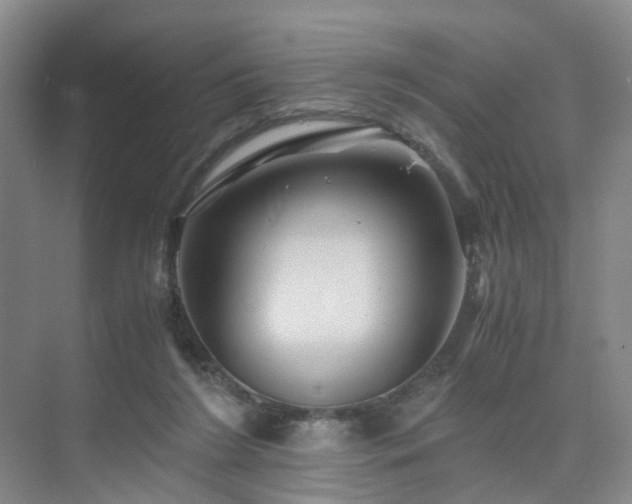 X0000075810212200609151155