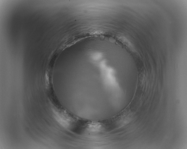 X0000075810214200609151155