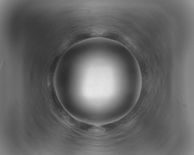 X0000075810215200609151155