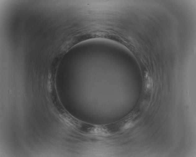 X0000075810223200609151155