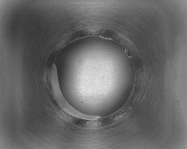 X0000075810225200609151155