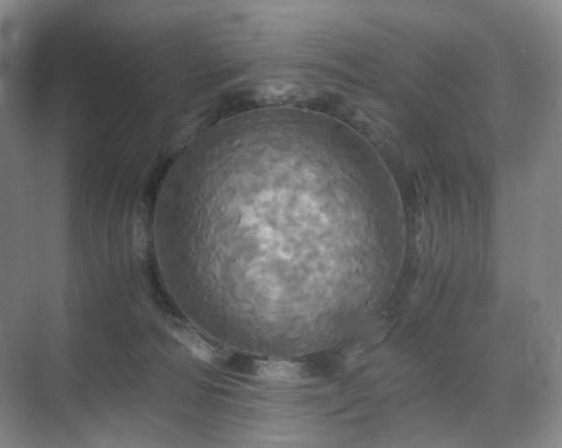 X0000075810226200609151155