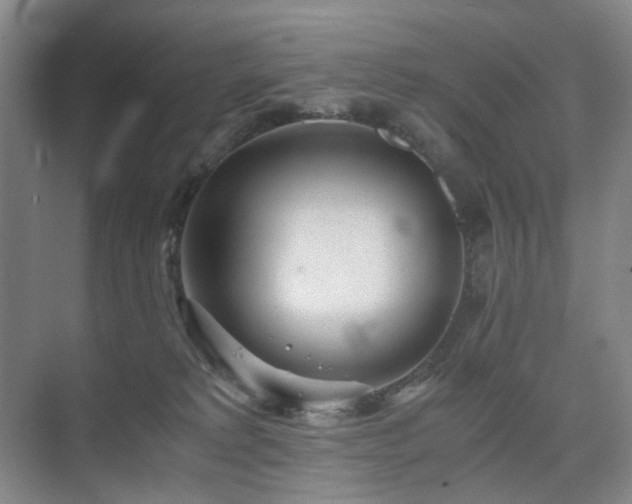 X0000075810229200609151155