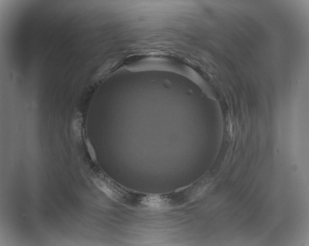 X0000075810231200609151155