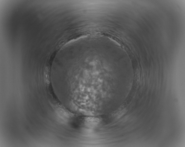 X0000075810234200609151154