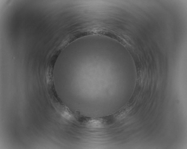 X0000075810236200609151154