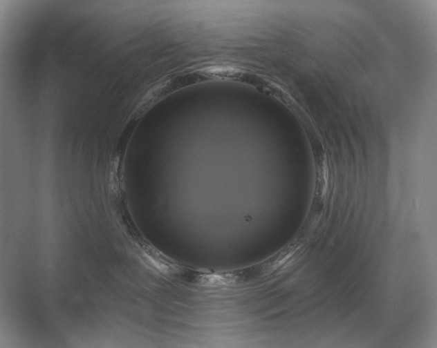 X0000075810239200609151154
