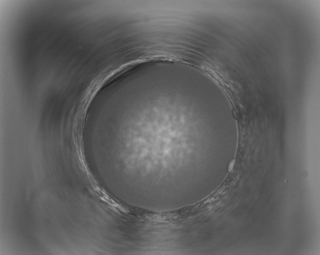 X0000075810241200609151154
