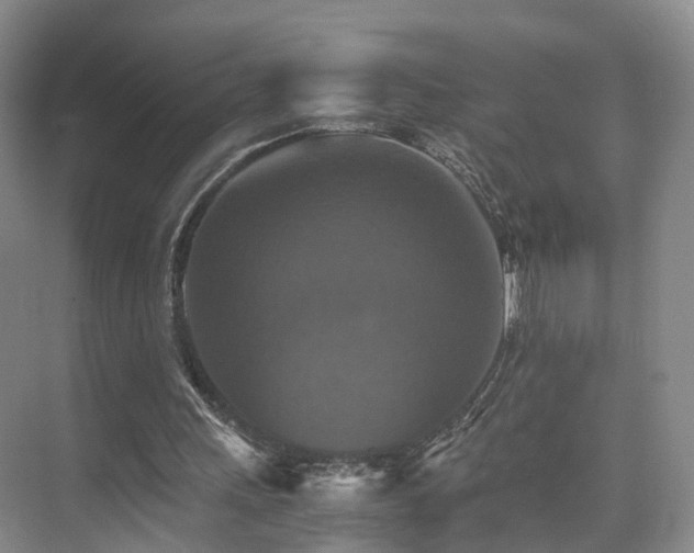 X0000075810243200609151154
