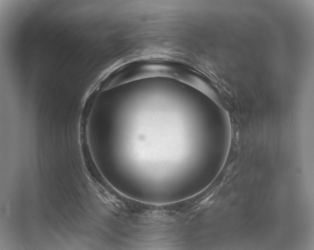 X0000075810244200609151154