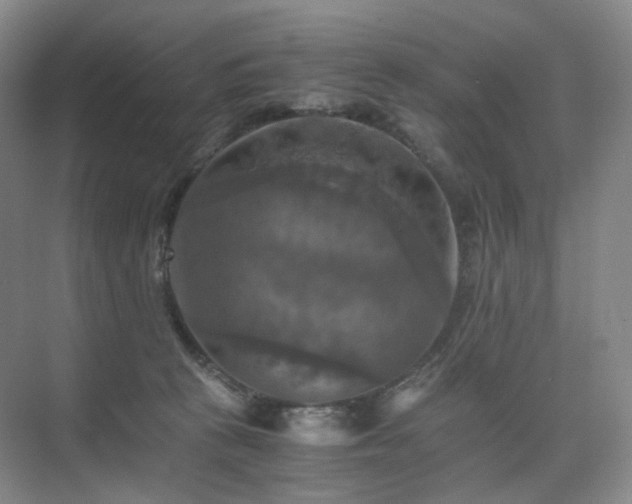 X0000075810273200609151154