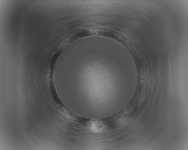 X0000075810275200609151154