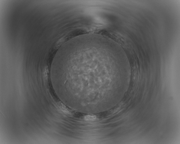 X0000075810279200609151154