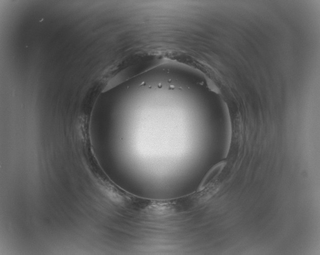 X0000075810280200609151154