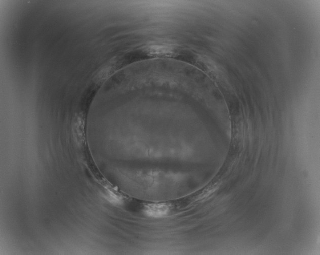 X0000075810281200609151154