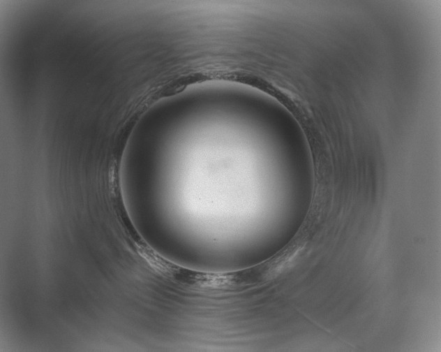 X0000075810288200609151154