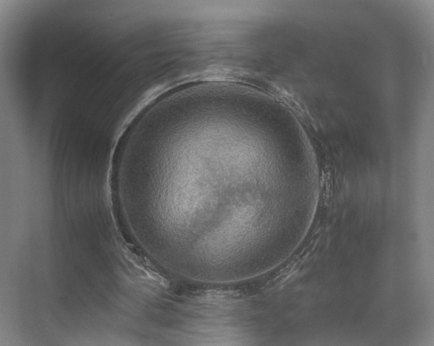 X0000075810292200609151153
