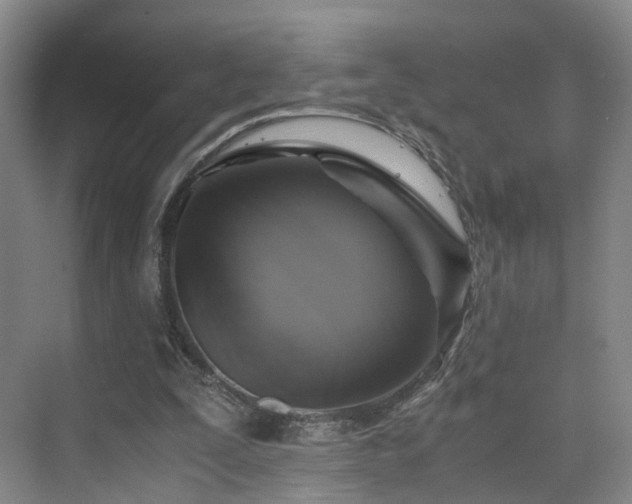 X0000075810295200609151153