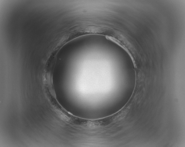X0000075810305200609151153
