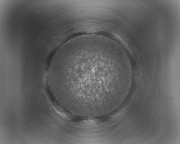 X0000075810307200609151153