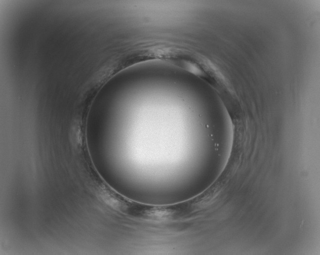 X0000075810313200609151153