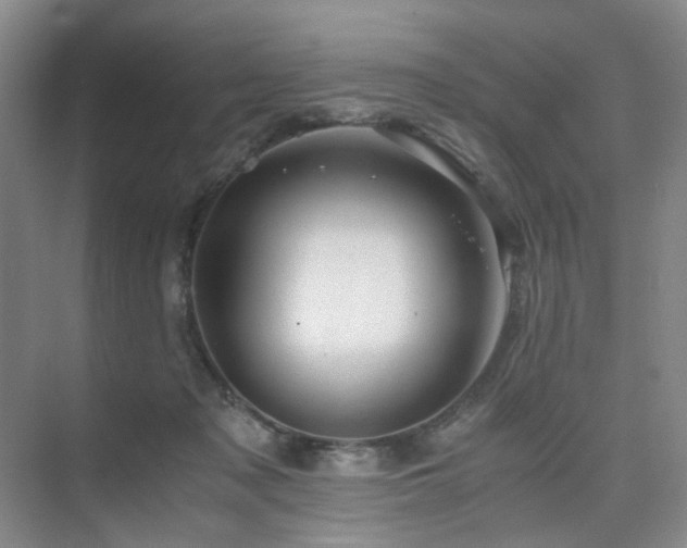 X0000075810317200609151153
