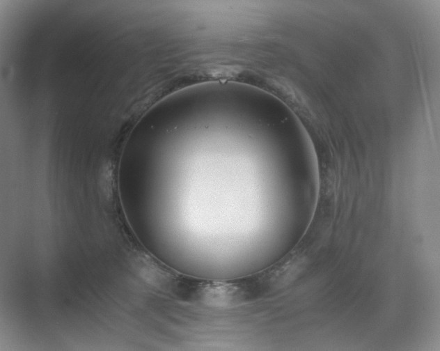 X0000075810321200609151153