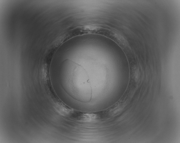 X0000075810328200609151153