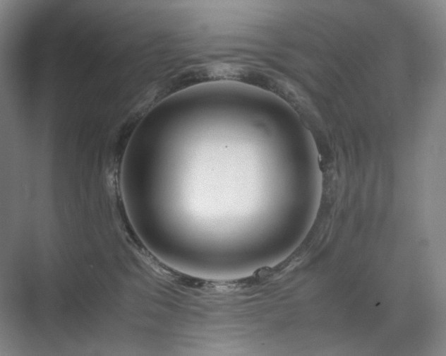 X0000075810329200609151153