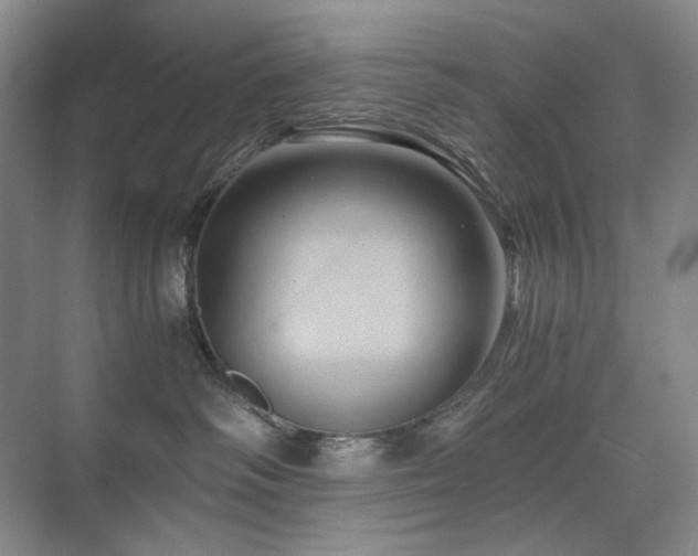 X0000075810334200609151153